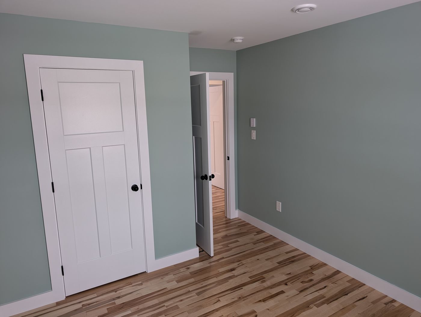 Bedroom with sage green walls, hardwood floor and a panelled door